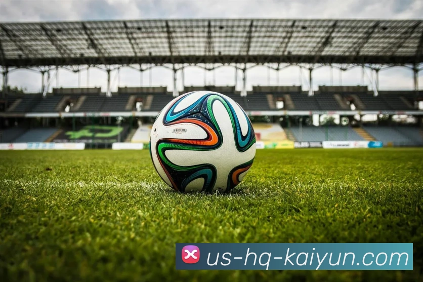 开云Kaiyun买电竞比赛的平台企业概况
