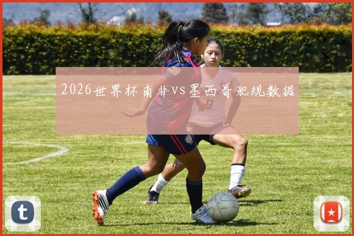 2026世界杯南非vs墨西哥犯规数据