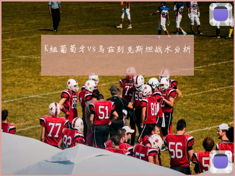 K组葡萄牙vs乌兹别克斯坦战术分析