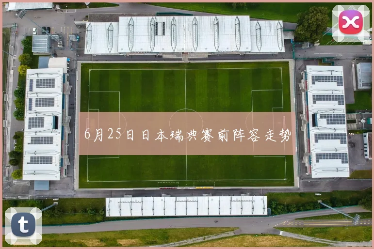 6月25日日本瑞典赛前阵容走势
